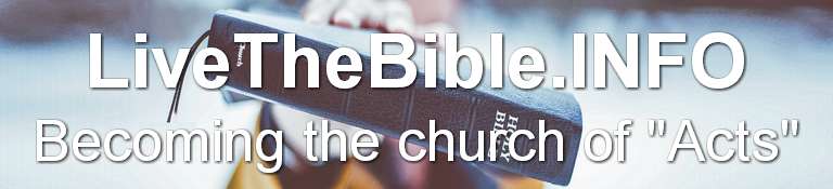 Church of Acts Newsletter | Live The Bible Website